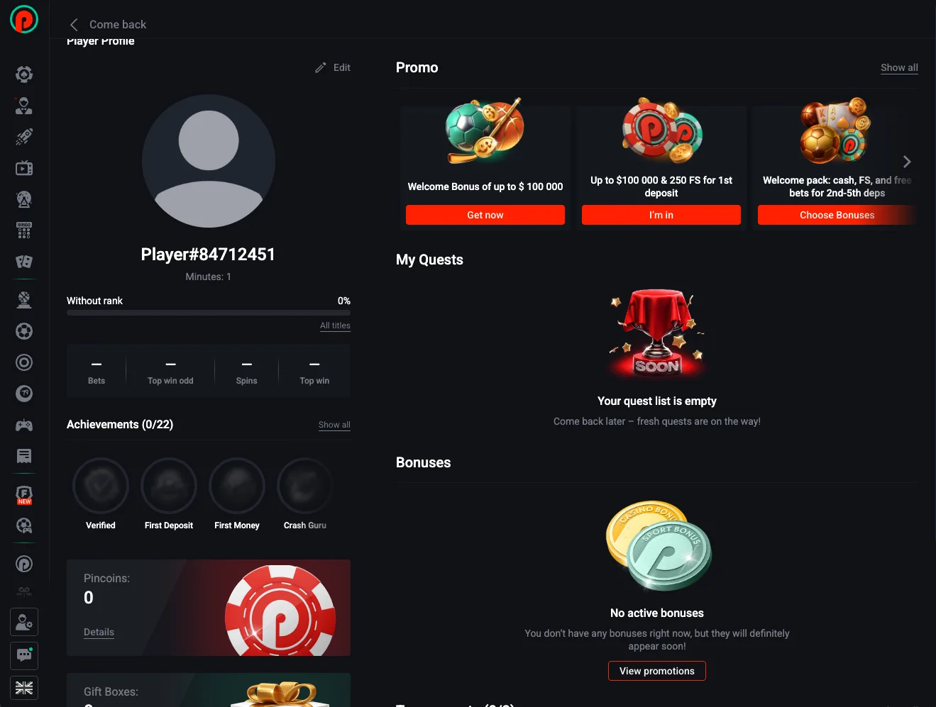 Pin Up player profile dashboard showing promo cards and bonuses area